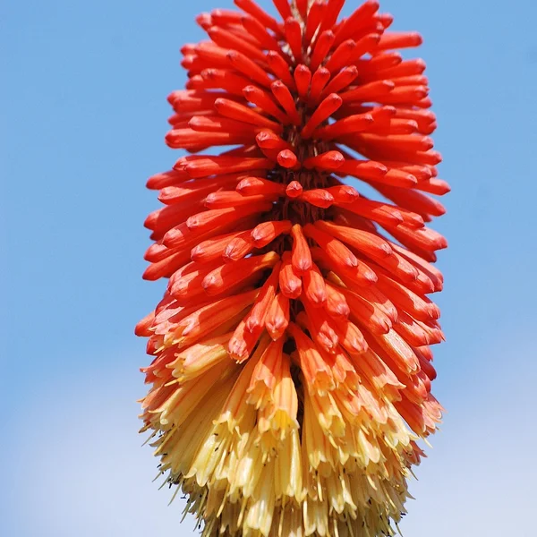 问鼎娱乐百家乐游戏